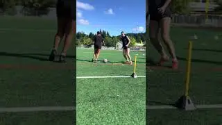 Warmup set with agility added in