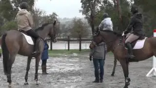 Robyn Fisher with Ian Stark Friday Galway Downs January 2017