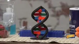 How to Extract DNA from a Strawberry | Simple Science Experiment