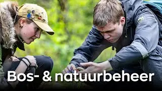 Bachelor - Bos- en Natuurbeheer (bachelor voltijd)
