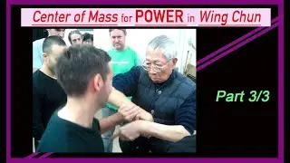 Center of Mass for POWER in Wing Chun - Part 3/3