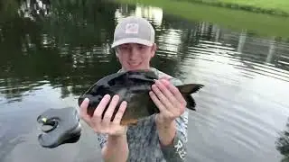 BASS FISHING PRODUCTIONS TRAPPING GIANT PIRANHAS in the POND!!!