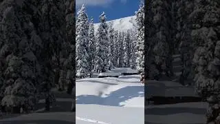 Gulmarg At Its Pristine Best After Recent Snowfall #kashmir #gulmarg #snow #snowfall #shorts #viral