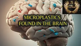 MICROPLASTICS FOUND IN THE BRAIN! Shocking Brain Study Revealed