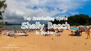 Shelly Beach is the most beginner friendly snorkelling spot in Sydney!