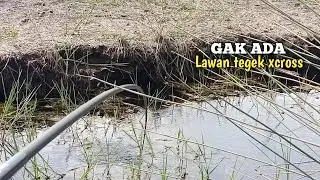 Terbukti tegek xcross...pemancing ini taklukan ikan krandang monster