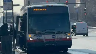 CTA 2024 Nova LFS Bus #8904 On Rt 50 Damen