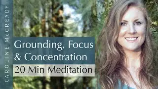 20 Minute Breathing Meditation for Grounding, Focus and Concentration