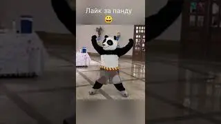 Панда жгёт #party #dance #music
