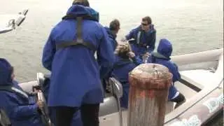 The Big Duck adventure cruise, Victor Harbor, South Australia