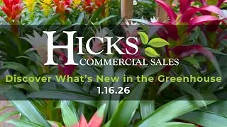 Hicks Commercial Sales Foliage Friday Video 1-16-26