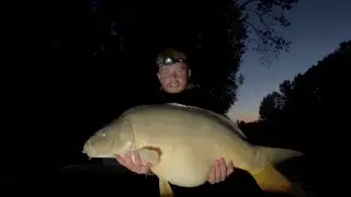 Je pêche ma première carpe sauvage en rivière !