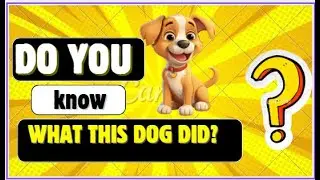 The Hasty Bruno #hastytasty #hasty #dog #bones #cartoon #3danimation