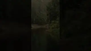 Aanejhari Nature Camp, Kollur, Karnataka #nature
