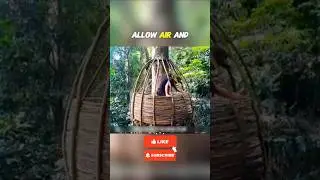 &ldquo;Surrounded by Predators, He Built a Home in the Sky&rdquo;.😱#viral #amazing #bestshorts #shortsfeed