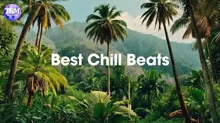 Best Chill Beats For Ultimate Relaxation | Top Beats Music