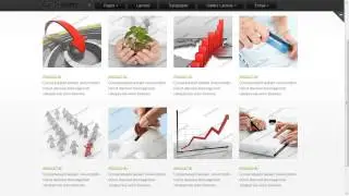 SEO Website Website Template
