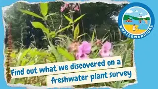 Find out what we discovered on one of our freshwater plant surveys