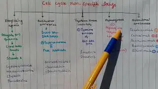 Cell Cycle Non-specific Cancer chemotherapy | Pharmacology