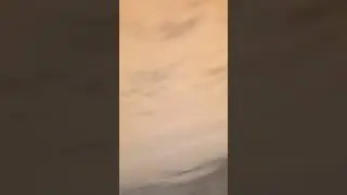 Let me see something 