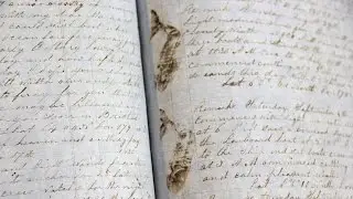 Web Appraisal: Whaling Log & Photo, ca. 1854 | Cleveland, OH