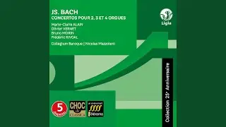 Concerto for 4 Organs in A Minor, BWV 1065: II. Largo
