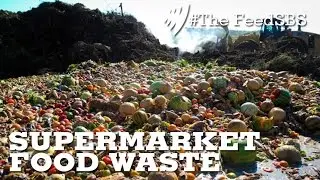 France bans supermarket waste I The Feed