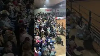 TK Pro Rodeo: Action-Packed Family Event with Sold-Out Crowds! 🐂🎟️