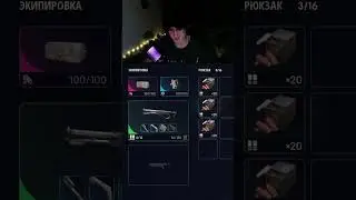 PVE/PVP?