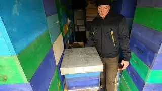 Beekeeping for begginers. Part 2.