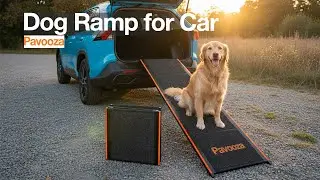Pavooza Dog Ramp For Car