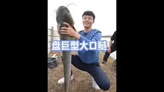 万丈高楼平地起，小丑竟是我自己 #原来钓鱼才是抖音运动顶流 #dou是钓鱼人 #2026dou来钓鱼