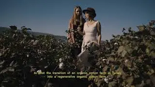 Regenerative Organic Cotton Pilot Project | Organic Basics x WWF