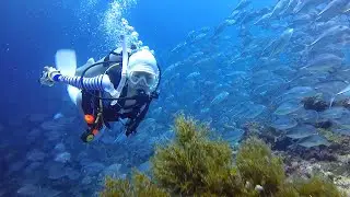 Sipadan Island 2016 July | Scuba Diving