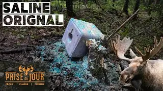 Comment faire une saline et une vasi&egrave;re pour l'orignal