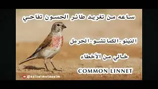 ٣٠ ديسمبر ٢٠٢٥