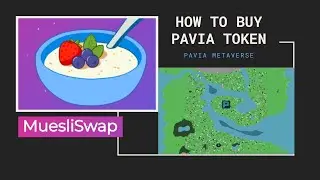 How to buy PAVIA Metaverse Token//To the Moon