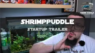 SHRIMPPUDDLE / STARTUP TRAILER