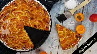 UrDinkel Aprikosen Kuchen