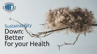 Down: Better Insulation, Better for your Health