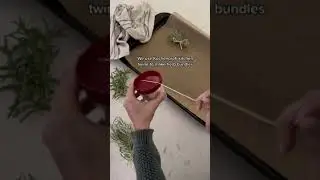 How to Dry Fresh Herbs 🌿