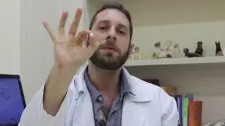 Momento Vet - Qual a forma correta de dar remédio ao meu cachorro?