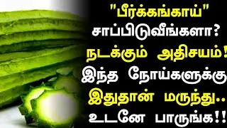 பீர்க்கங்காய் சாப்பிட்டால் நடக்கும் அதிசயம்! | Ridge Gourd Health Benefits Tamil |Health Tips Tamil 