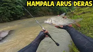 Pakai Joran Orca primus 1-3 lbs untuk casting hampala arus deras