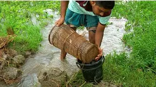 Amazing rainy day fish catching | Primitive Fishing Technique Rainy Season After Rain |