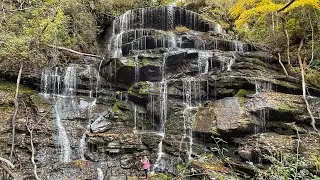 Yellow Branch Falls - Hike & Guide - Sumter National Forest - Hike Vlog 19