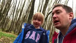 Birch tapping for Water & Syrup
