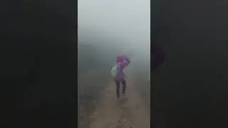 zero visibility. | foggy day hike.|
