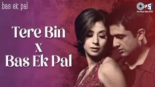 Tere Bin Bas Ek Pal 💔|| Bollywood songs || Hindi songs || Most Emotional Songs