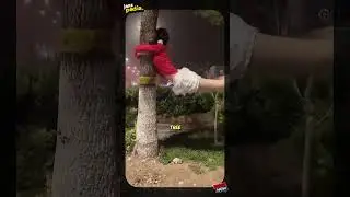 Terrifying Typhoon Caught on Camera #shorts